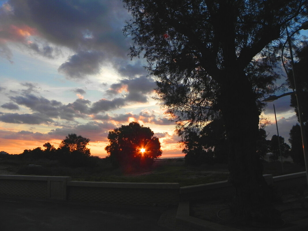 Звёздочка закатная! - Светлана Хращевская