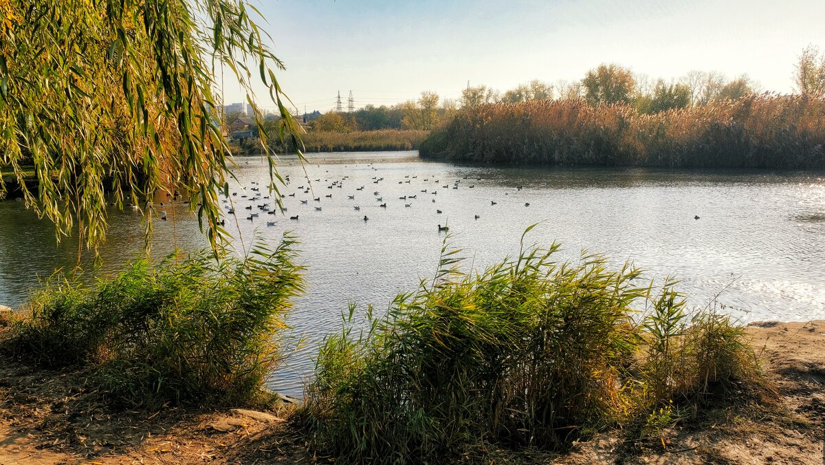 Ростовские зарисовки - Александр Гапоненко