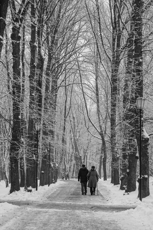 В парке. - Галина Бехметьева
