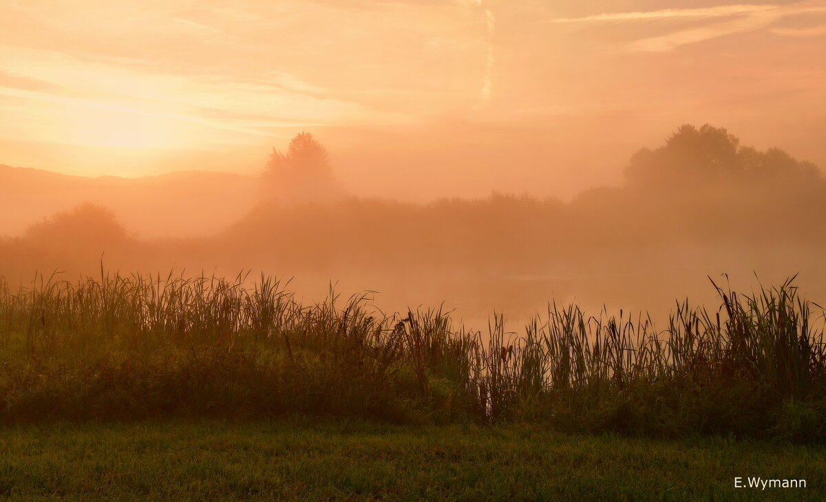 misty morning - Elena Wymann