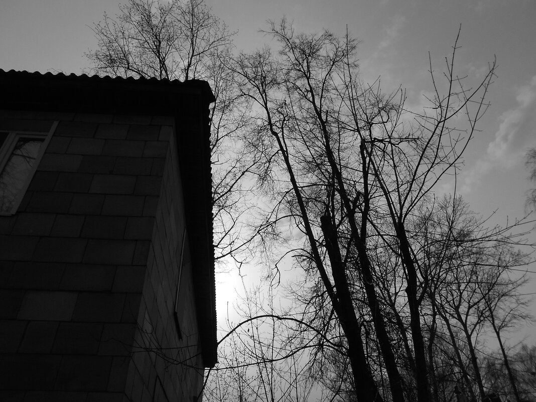 Ч/Б серия - Игорь Чуев