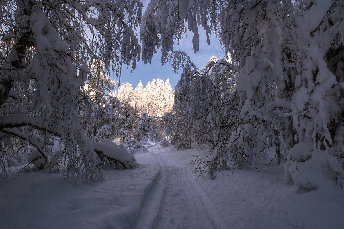 Дорога к свету - Vladimbormotov 