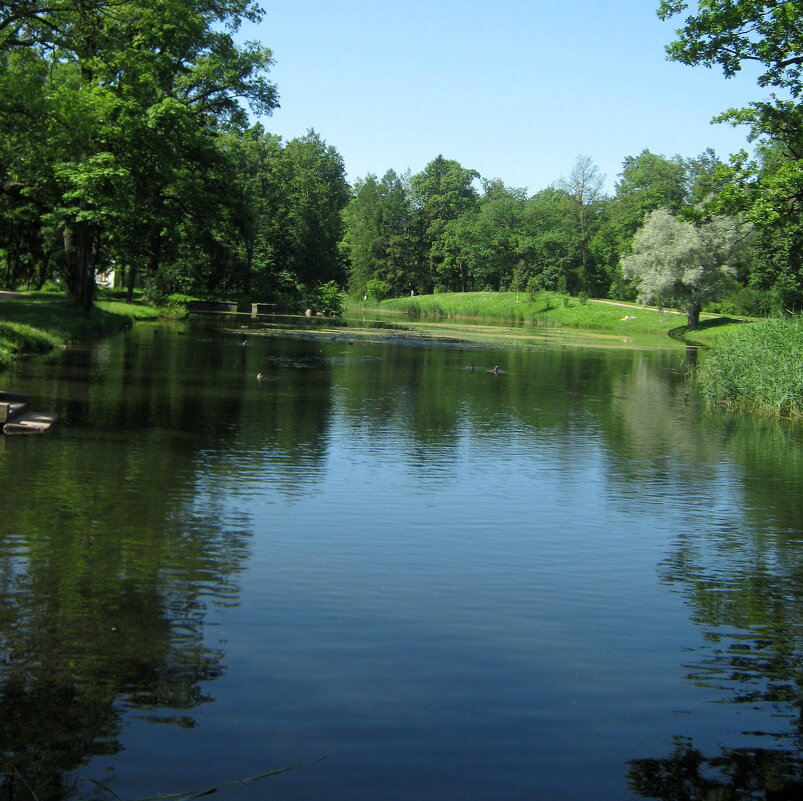 Природе надо, чтоб её любили. Ей это надо так же, как и нам. - Tatiana Markova Природе надо, чтоб её любили. Ей это надо так же, как и нам. - Tatiana Markova