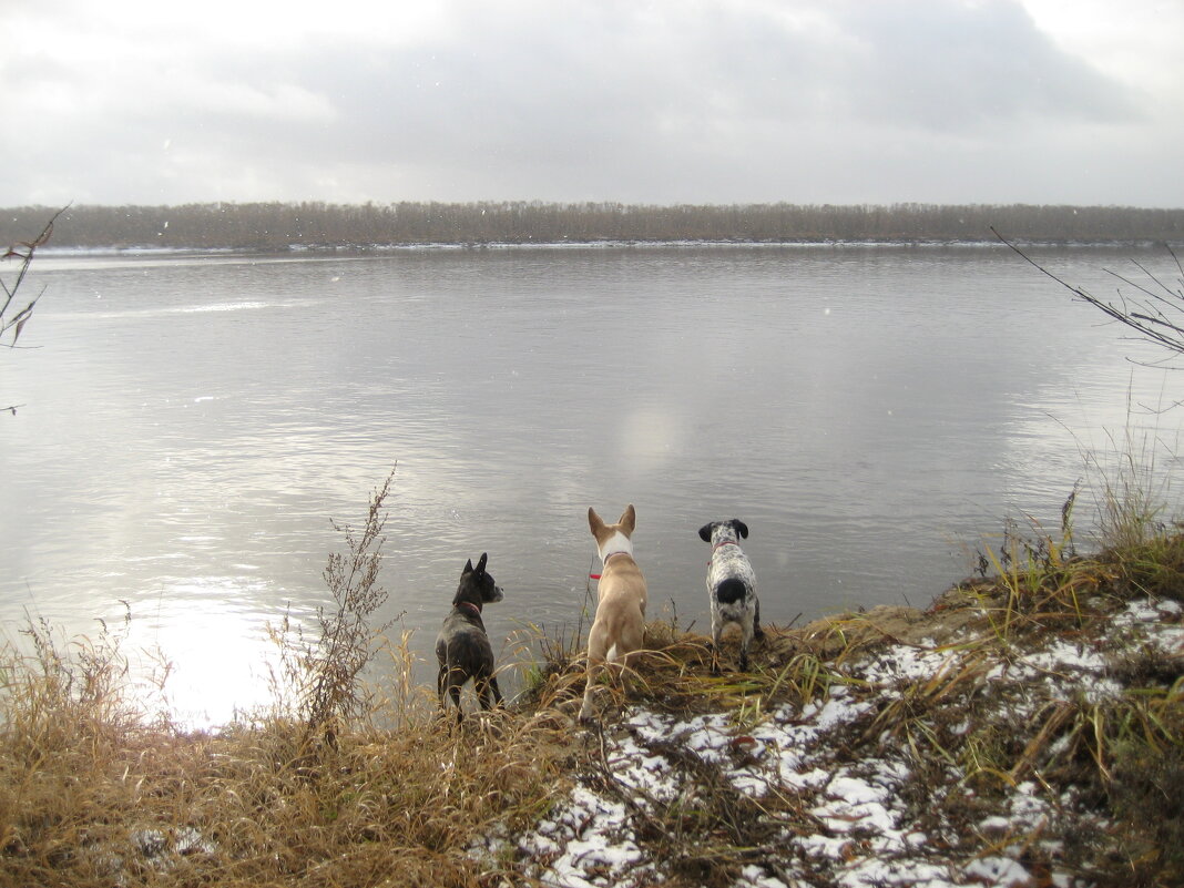 Шепот Лены - Anna Ivanova Шепот Лены - Anna Ivanova