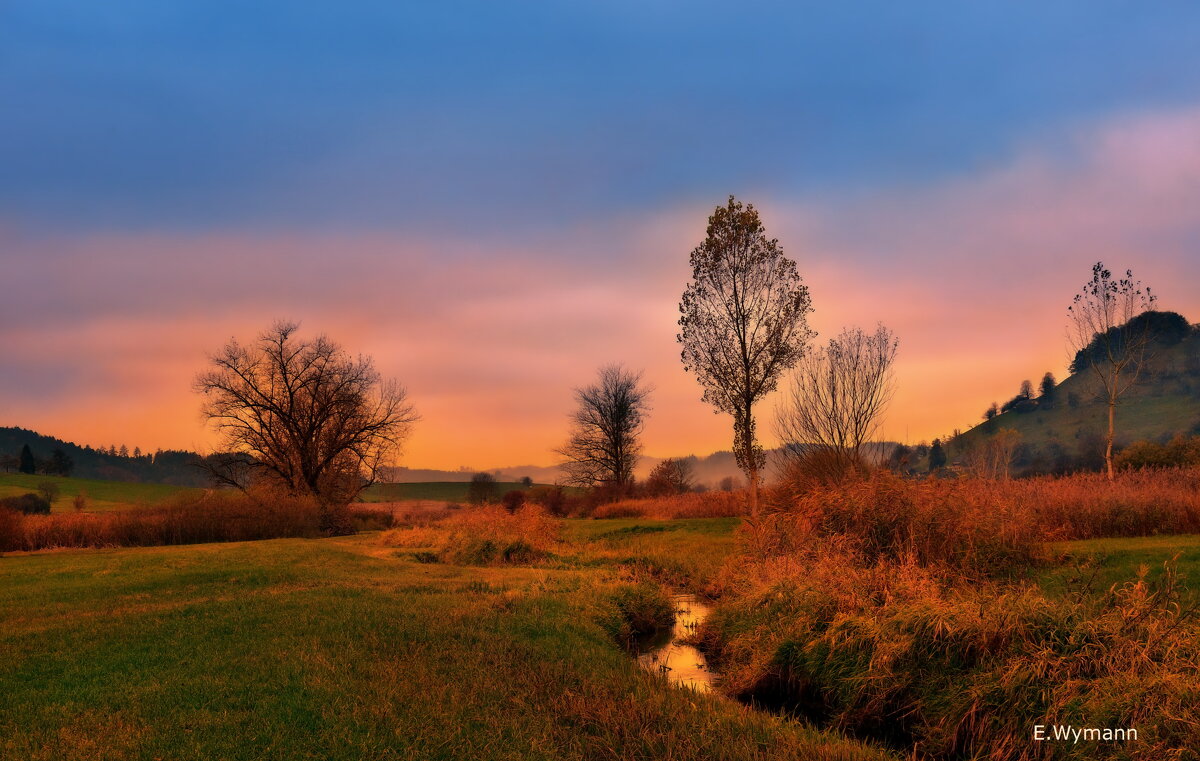 autumn morning - Elena Wymann