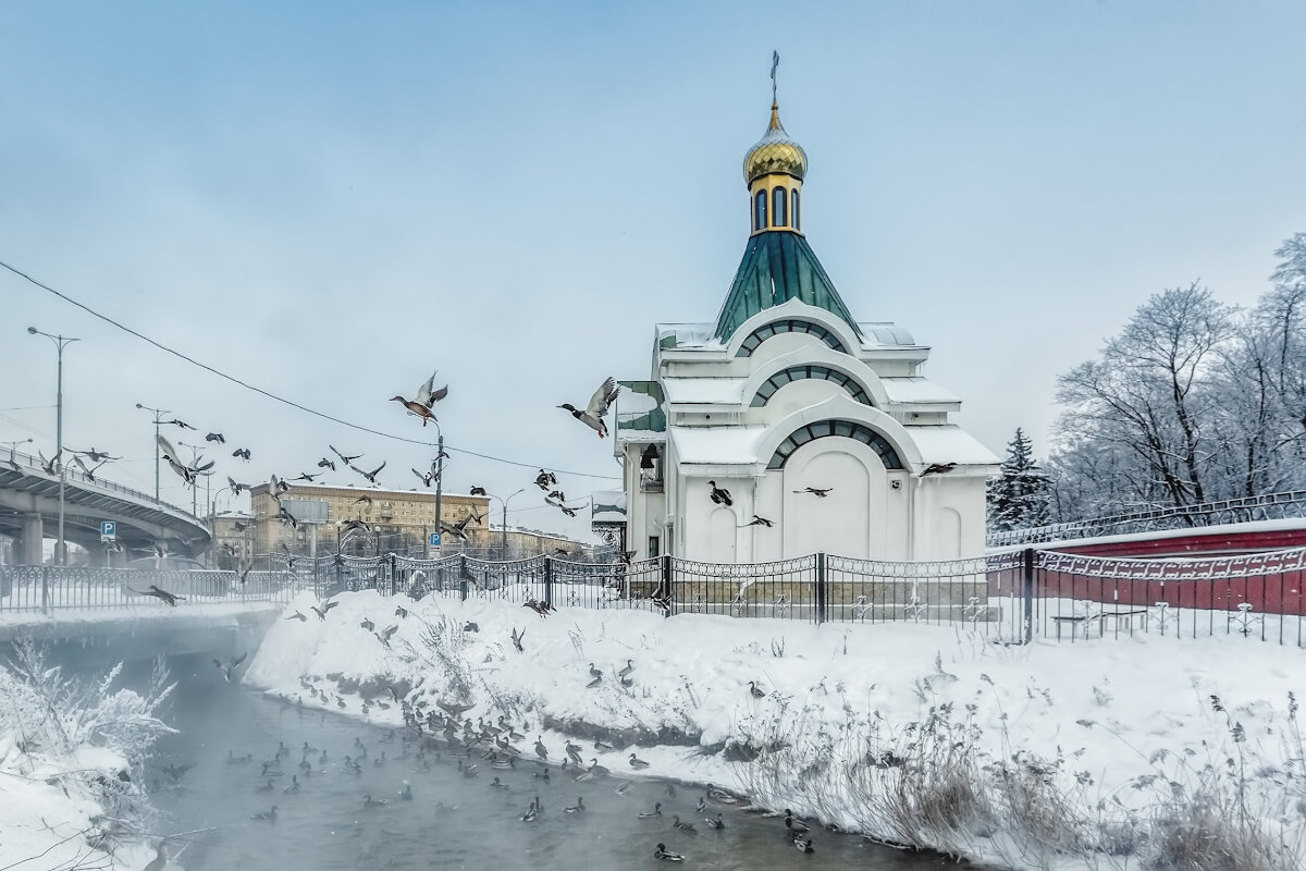 Про Питер - Владимир Колесников