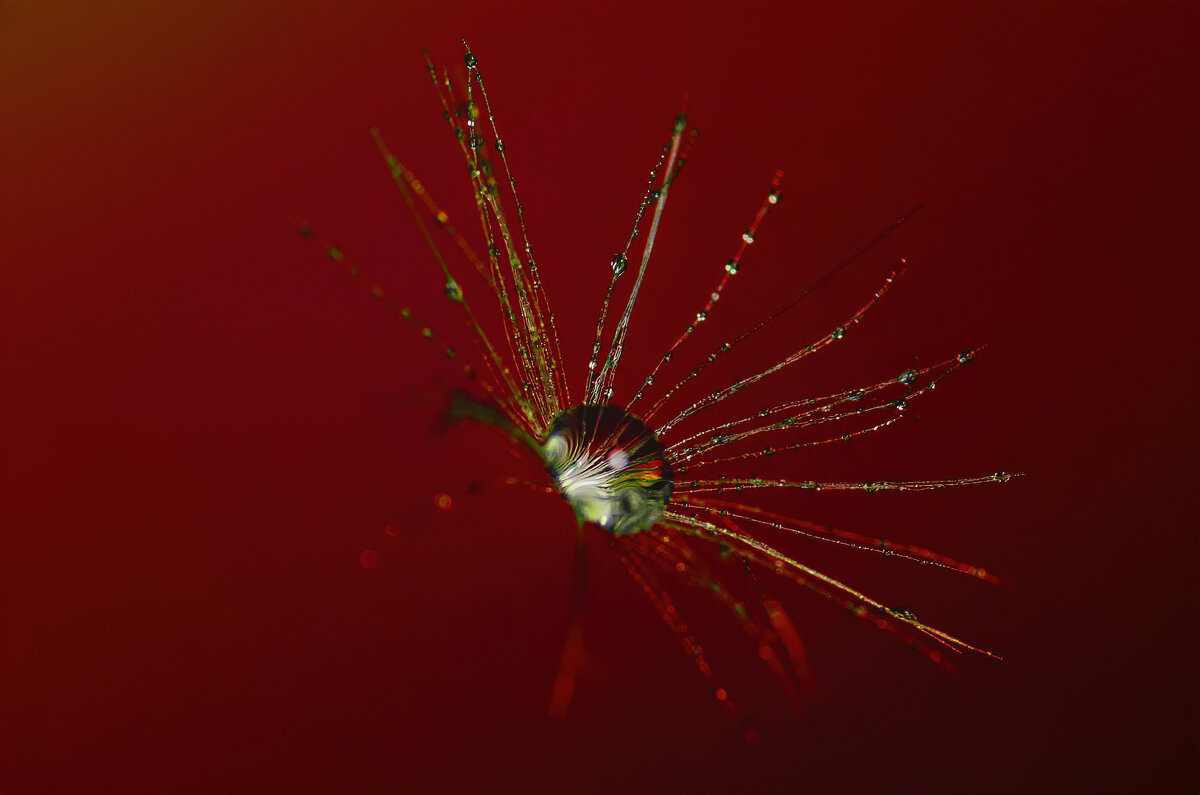 *** - Виктор Иванович Чернюк