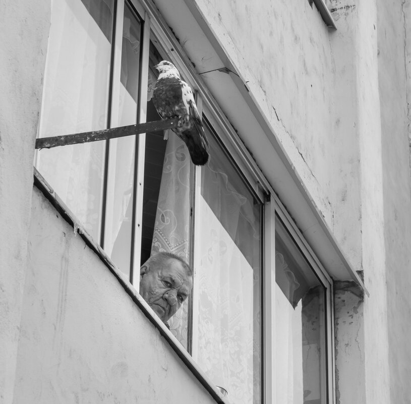 Хх - Денис Борисенко