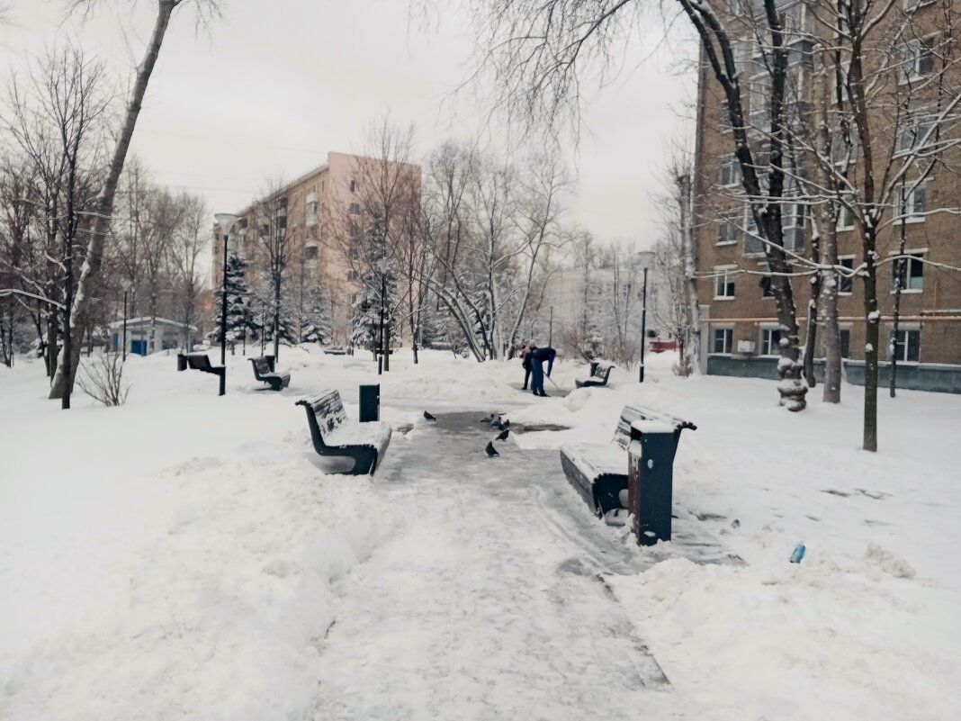 Вокруг дома моего... - Владимир Драгунский