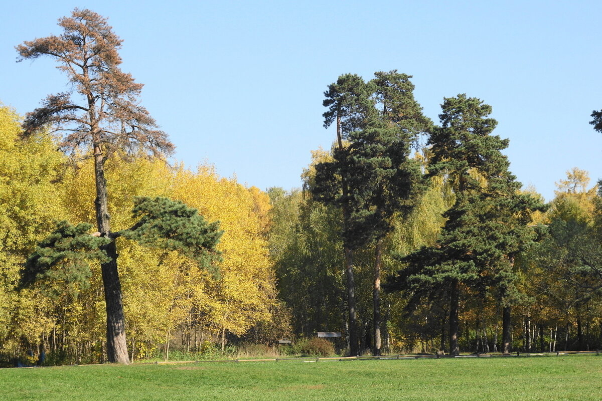 Парк Кузьминки - Маргарита Батырева Парк Кузьминки - Маргарита Батырева