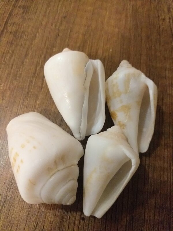 Средиземное море. - Murat Bukaev 