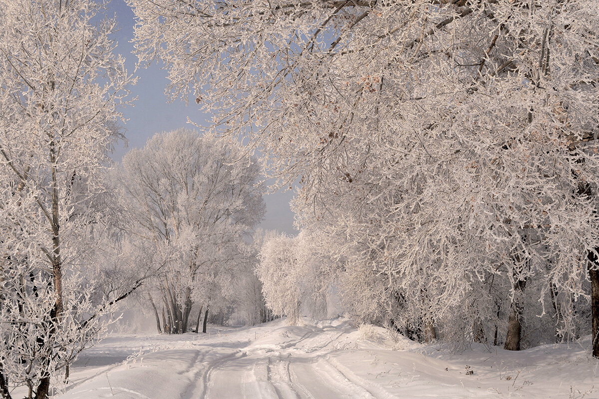 Январь. - Марина Мерц Январь. - Марина Мерц