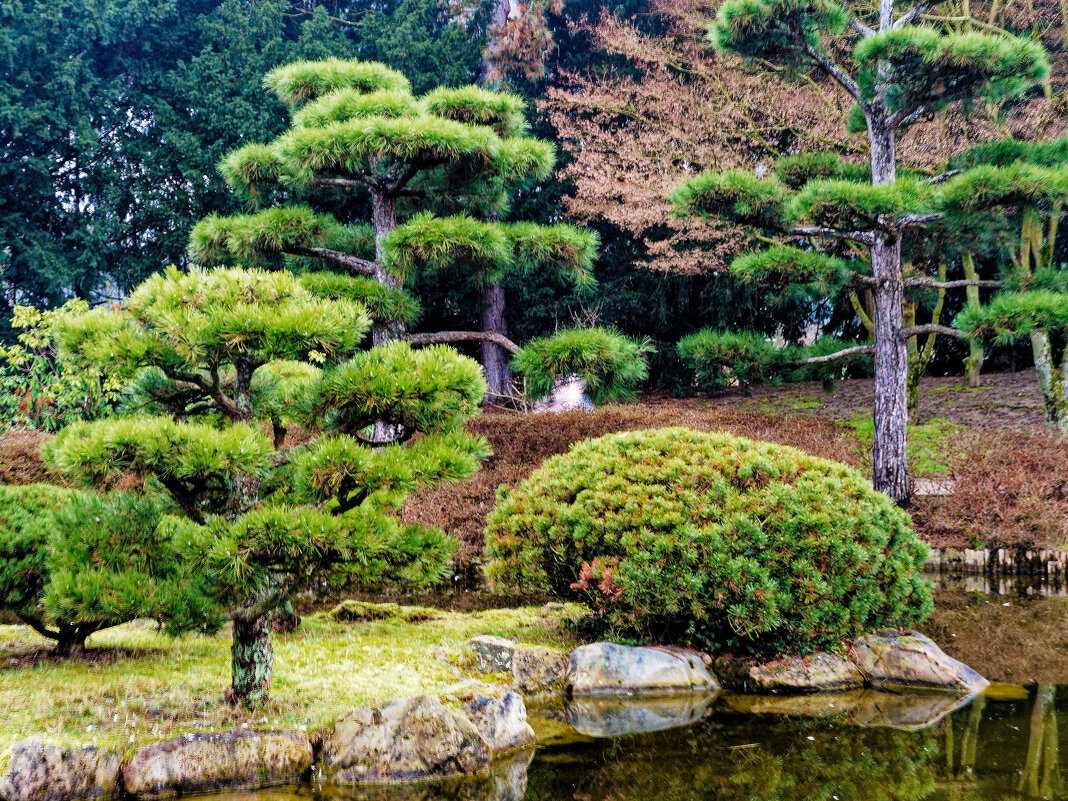 *** - Witalij Loewin *** - Witalij Loewin