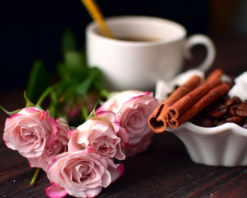 И сотканы порой из тишины Мгновения, которым нет цены... - Светлана И сотканы порой из тишины Мгновения, которым нет цены... - Светлана