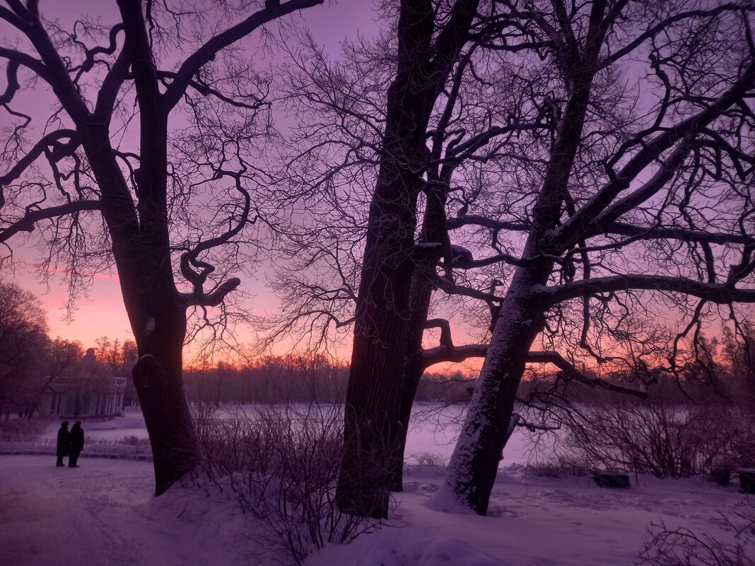 Рассвет - Сапсан 