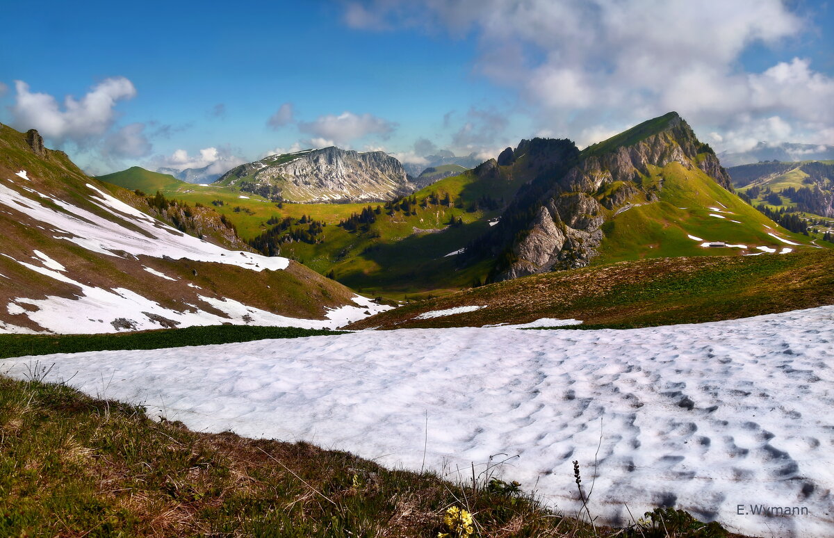 summer - Elena Wymann summer - Elena Wymann