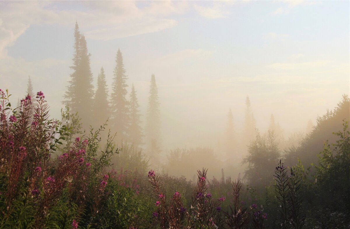 Утром туманным - Сергей Чиняев 