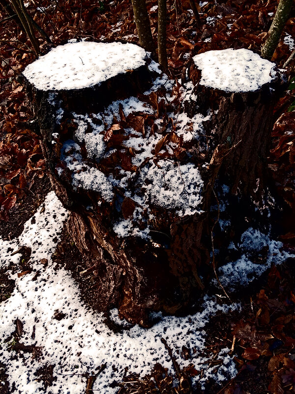 Зима в Южной Германии 83 - Алексей Кузнецов