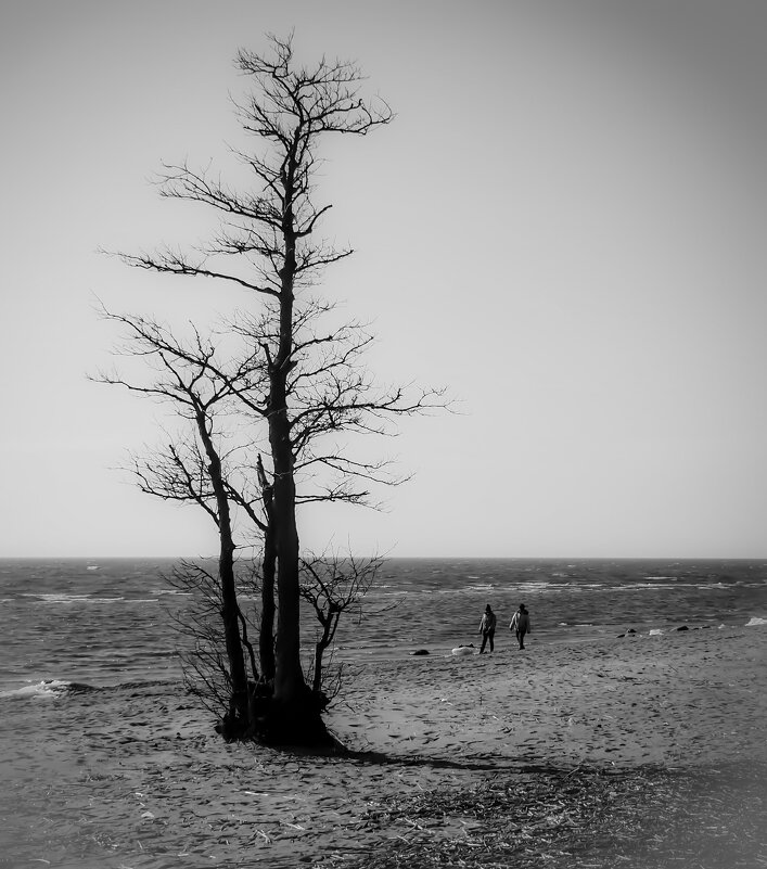 Одиночество - Магомед .