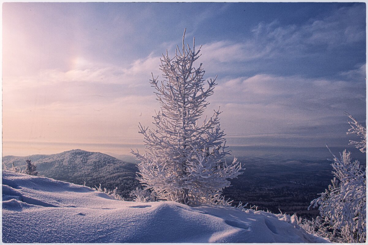 ... - Dmitry Ozersky