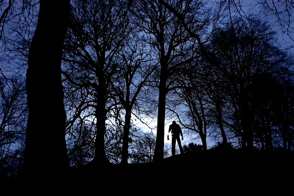 вечером в лесу - Тихон Скворцов 