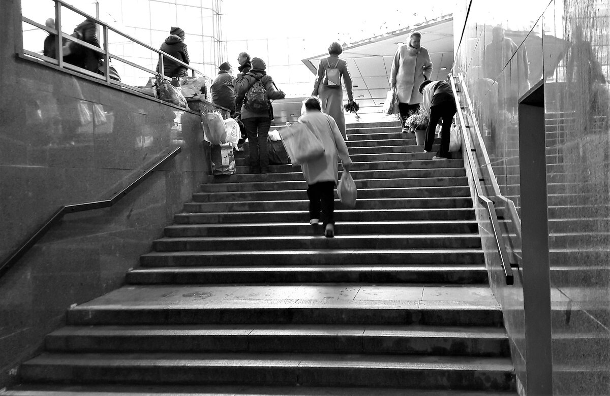 /// - Виктор Никитенко