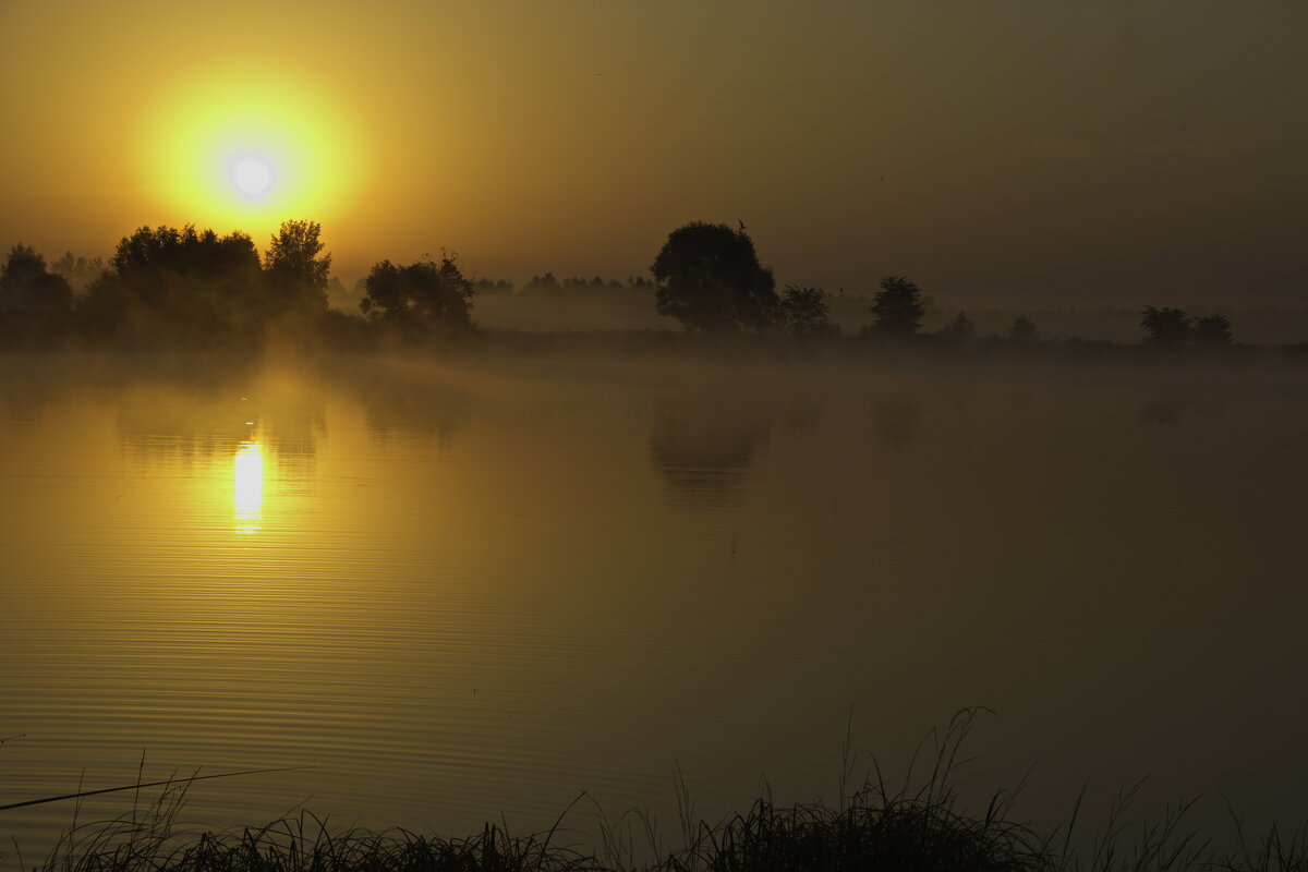 Утренний туман. - Анатолий Борисов