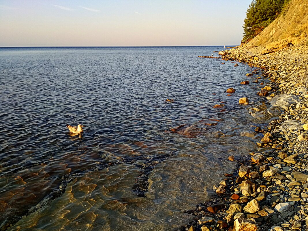 Восход на море - Татьяна Лютаева