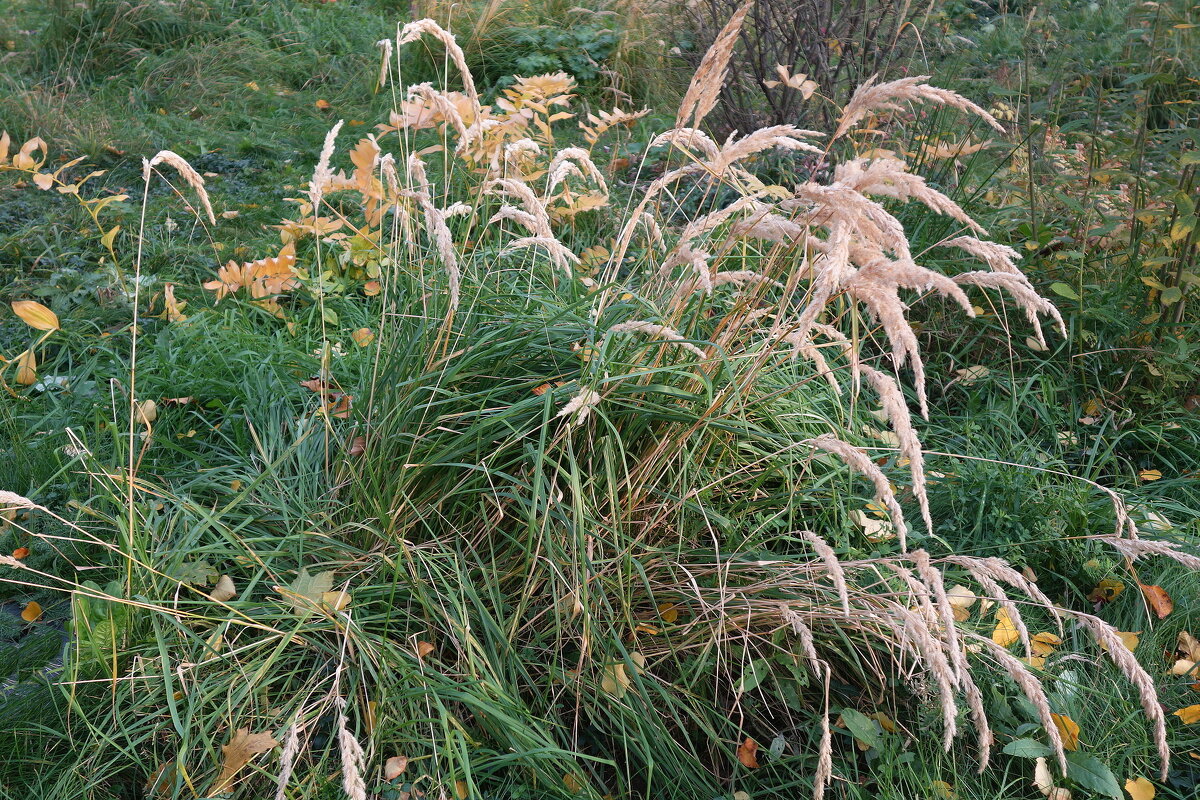 Парк Зарядье - Маргарита Батырева Парк Зарядье - Маргарита Батырева