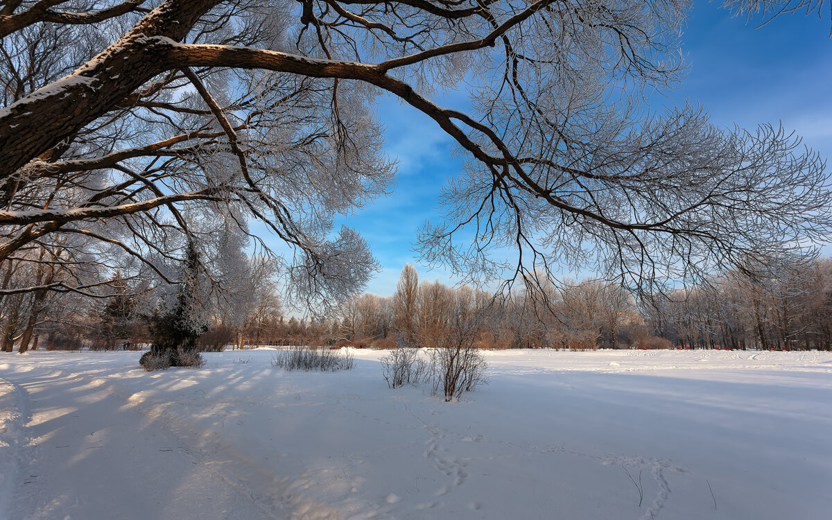 В зимнем парке... - Сергей Кичигин