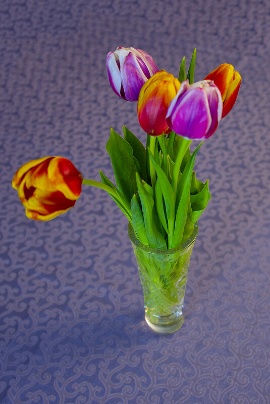 Тюлбпаны - Анатолий Чикчирный Тюлбпаны - Анатолий Чикчирный