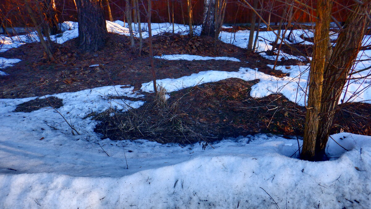 Природа - Михаил Природа - Михаил