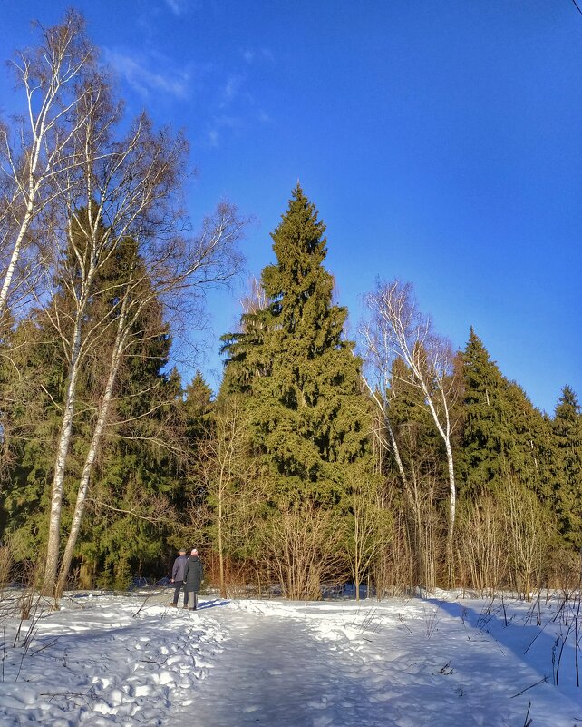 по весеннему солнечно - Валентина. .