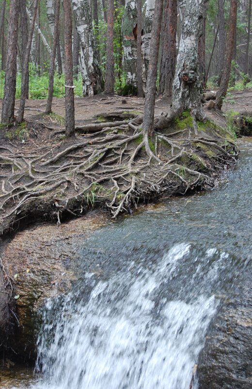 Держись за землю! - Надежда Держись за землю! - Надежда