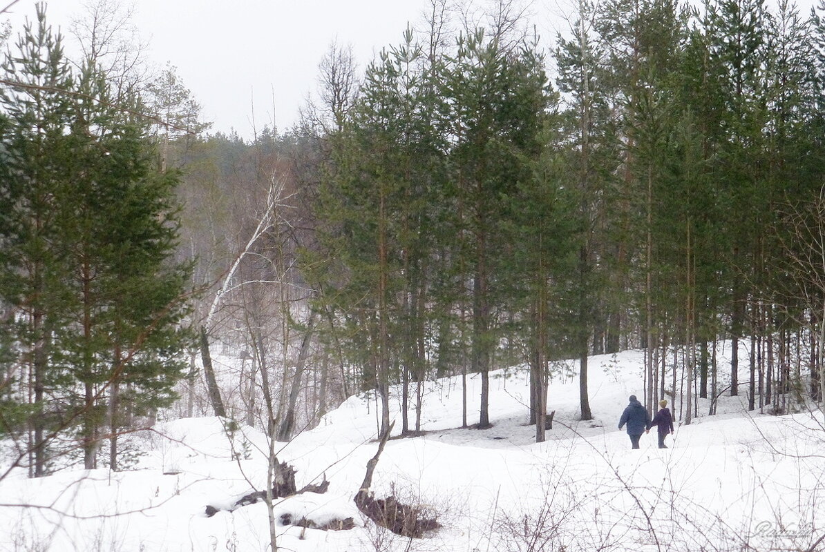 Лесная прогулка в марте - Raduzka (Надежда Веркина)