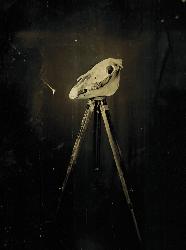 Война миров: Марсианин #1 - Sssergeo Война миров: Марсианин #1 - Sssergeo