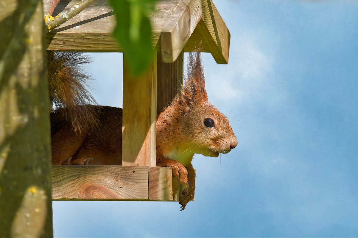 Напрыгалась - Николай Соколухин Напрыгалась - Николай Соколухин