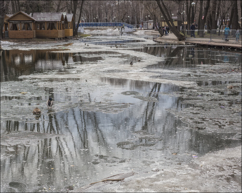 Вербное - Александр Тарноградский