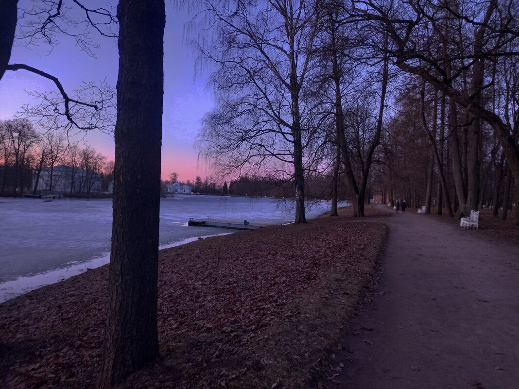 Закат - Сапсан 