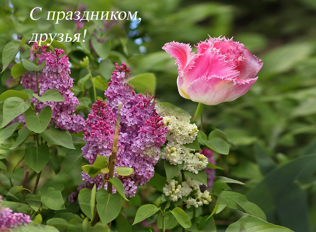 Когда весна придёт, не знаю... - Юрий Гайворонскiий Когда весна придёт, не знаю... - Юрий Гайворонскiий