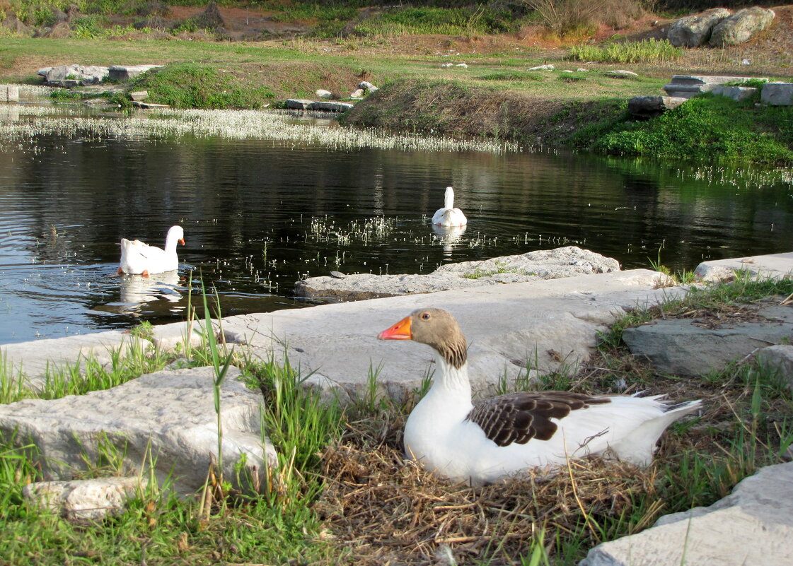 в ожидании - ИРЭН@ . в ожидании - ИРЭН@ .