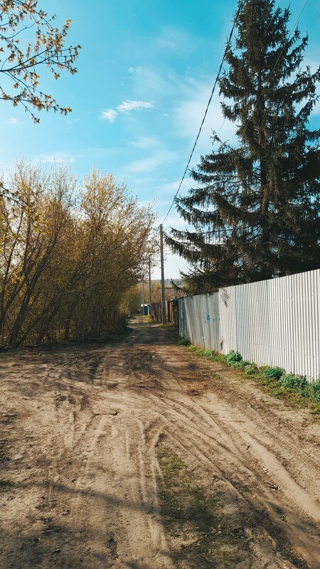 Тропинки ведут к городу - Светлана 