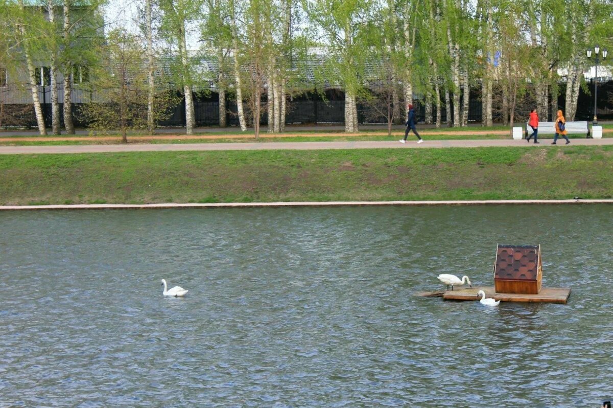 В городском парке - Горкун Ольга Николаевна 