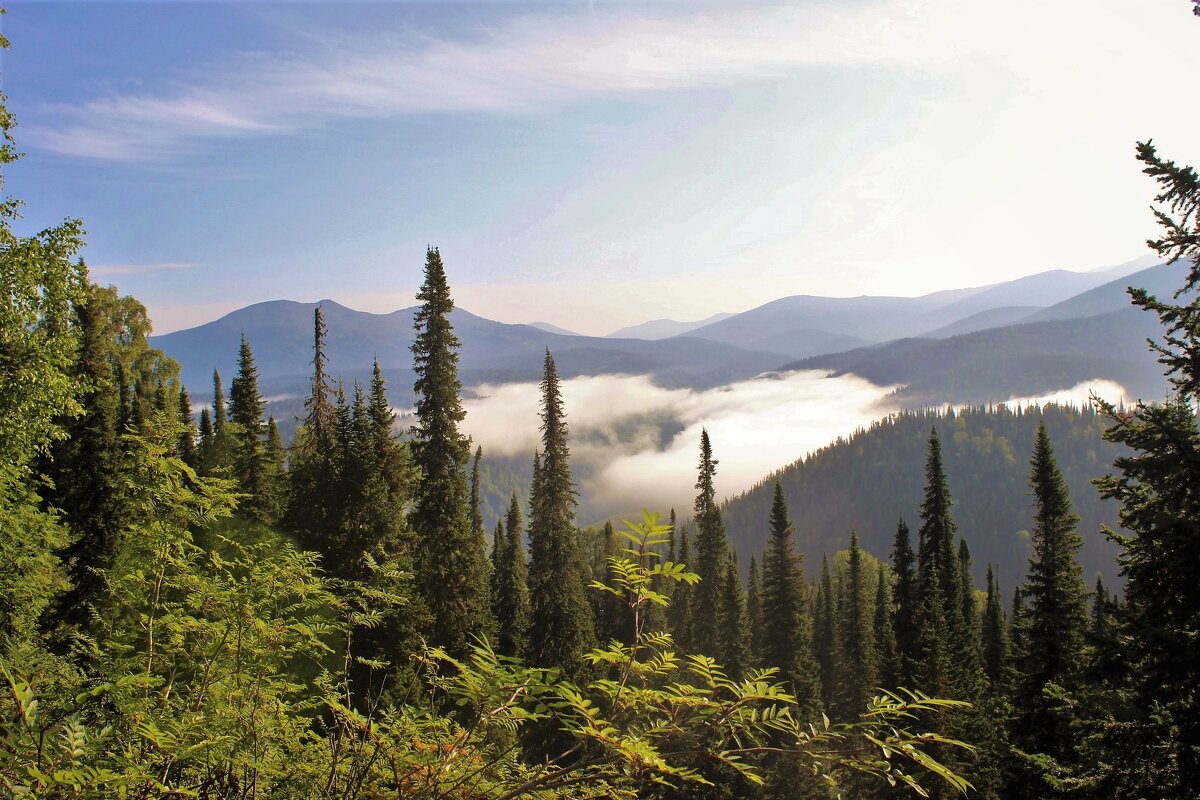 Заблудившиеся облака - Сергей Чиняев Заблудившиеся облака - Сергей Чиняев