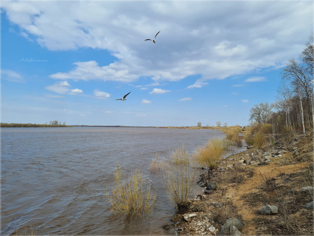 г.Котлас, Северная Двина - Анастасия Северюхина г.Котлас, Северная Двина - Анастасия Северюхина