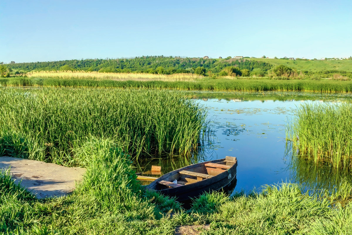 На берегу озера.. - Юрий Стародубцев На берегу озера.. - Юрий Стародубцев