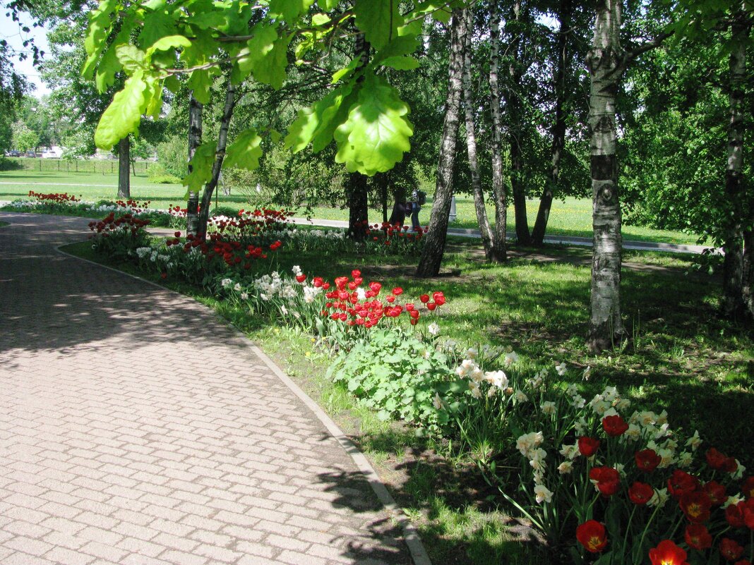 Июнь. - Владимир Драгунский Июнь. - Владимир Драгунский