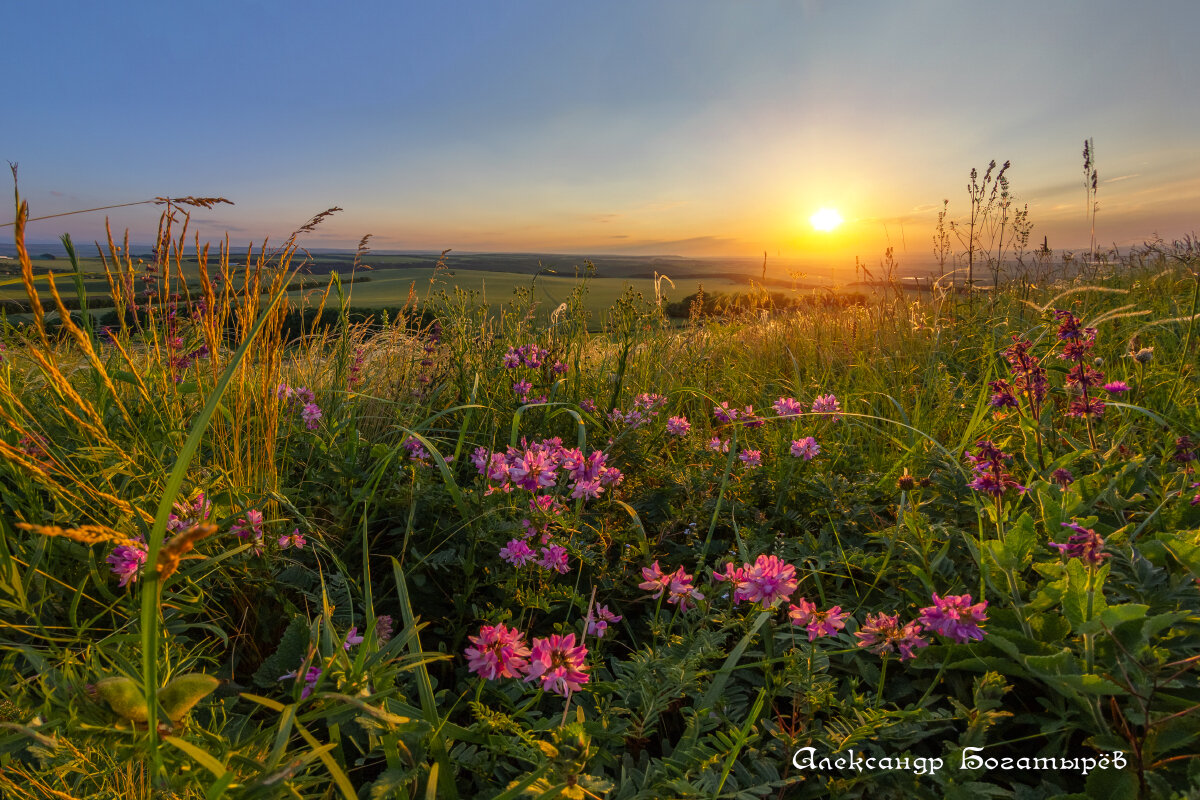 История одного заката - Александр Богатырёв История одного заката - Александр Богатырёв