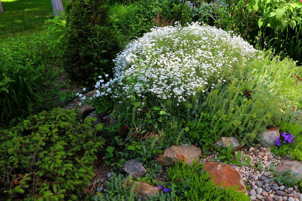 Миниатюрно-цветущая горочка - Надежд@ Шавенкова Миниатюрно-цветущая горочка - Надежд@ Шавенкова