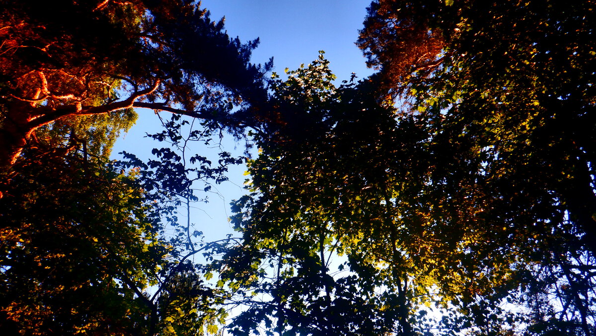 Природа - Михаил Природа - Михаил